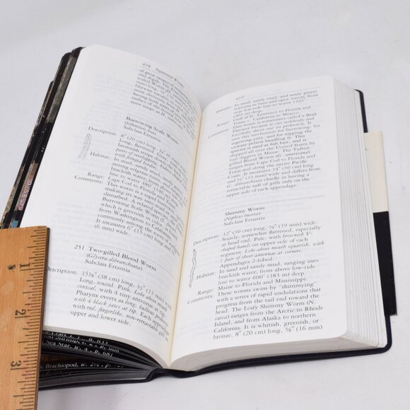 NAS Audubon Society Field Guide to North American Seashore Creatures Softcover - Picture 15 of 16